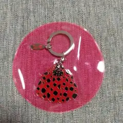 Item thumbnail for item ae754895-8068-493f-b9e7-10658b49a9e6