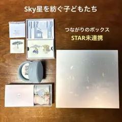Sky 星を紡ぐ子どもたち つながりのボックス ソウルメイトのピンバッジ つながりのボックス Sky星を紡ぐ