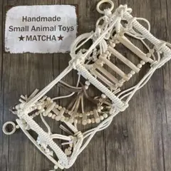 Item thumbnail for item 167c0e0f-5cb7-4073-a0ec-7ed4872c5c7b