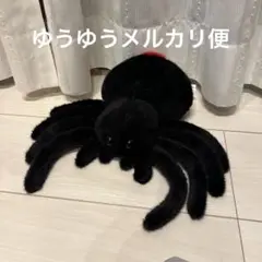 タランチュラぬいぐるみ　黒　赤28㎝