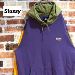 《ステューシー》人気モデル 刺繍ロゴ パープル×緑×黄 Lサイズ パーカー
