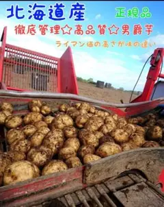 北海道 じゃがいも 男爵 8kg ジャガイモ ほくほく 旨い!