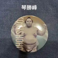 【琴勝峰】関取全員集合缶バッジ　大相撲ガチャ