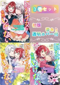 隠れ才女は全然めげない3 ～義母と義妹に家を追い出されたので婚約破棄してもらお…