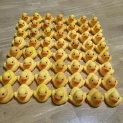 アヒル ソフビ 56個セット