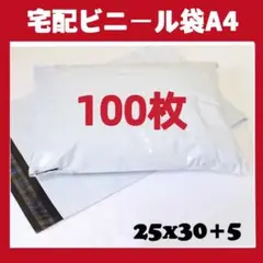 Item thumbnail for item fdcc0af3-d40f-48b5-a8f7-d13692525188