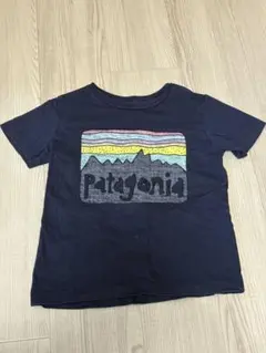 Patagonia Tシャツ