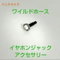 Item thumbnail for item dfaa767a-f0b4-477c-8b7b-c158496fed42
