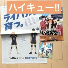【匿名配送】 ハイキュー　読売新聞広告　フライヤー　ファンパーク入場者特典色紙