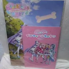 わんだふるぷりきゅあ！感謝祭 パンフレット