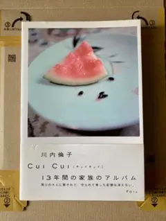 Cui cui  川内倫子 Rinko Kawauchi – 川内倫子 | Cui Cui