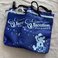 【新品未使用】ショルダーバッグ ミッキー【匿名配送24時間以内発送】