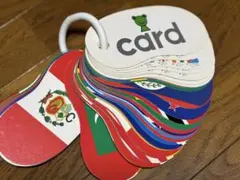 国旗カード 戸田デザイン研究室 知育玩具