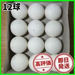 【早い者勝ち】ソフトテニス ボール 1ダース 12球 新品