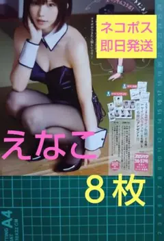 ８枚　応募券　えなこ　直筆サイン入りチェキ　抽プレ　ビッグコミックスピリッツ