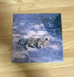 the奥歯's 風になれたら