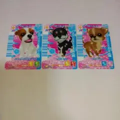 ワンタメ　カード　3枚セット
