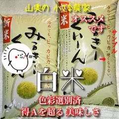 新米【超希少】ミルキークイーン 酵素米 お米 玄米10キロ 「標準白米に精米」