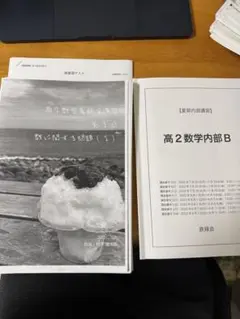 鉄緑会 高2 T2/U2/Q2クラス 数学 数III 計算手法 極限/積分編 2022 計2冊 上田晃輝 004s0D 鉄緑会 高2 T2/U2/Q2クラス 数学 数III 計算手法 極限/積分