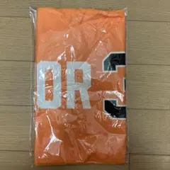 【非売品】長嶋茂雄追悼試合タオル