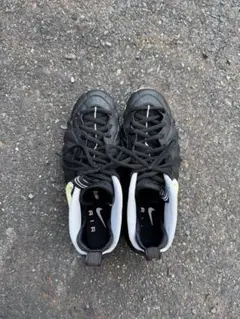 NIKE エアフォーム ポジット 28.5
