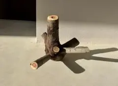 Item thumbnail for item ecc9c71b-6502-48b0-b559-7c828b866bd2