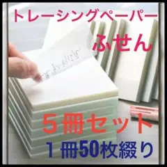 Item thumbnail for item c6e643c5-48e0-45a0-94c4-ffc63908c67a