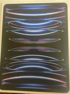 Apple iPad Pro （第6世代）256GB 12.9インチ