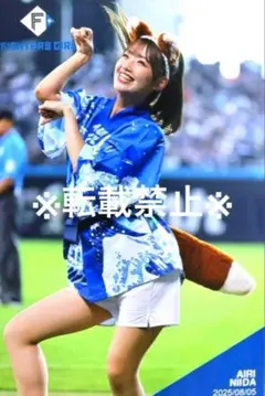 【限定品】ファイターズガール 新井田愛理 ハイライトフォト 超夏祭 超夏祭