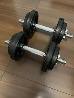 [リーディングエッジ] ラバーダンベル 10kg ×2個