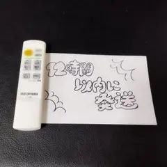 960　IRIS OHYAMA CL-RN2 リモコン　動確清掃済み