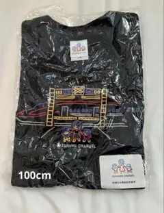 新品未使用品　受注生産　期間限定　鈴川綾子さん　Tシャツ JR 100CM