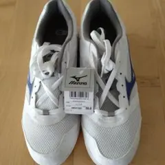 新品未開封品 mizuno インドアシューズ 30cm