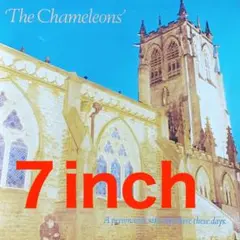 A person isn’t safe- 7"/The Chameleons