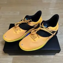 CURRY FOX 1