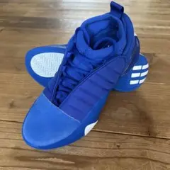 Item thumbnail for item a270fb49-d1fa-4552-a6a2-0195d2dd2af1