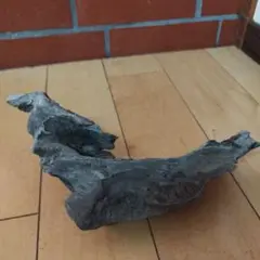 Item thumbnail for item 465c7d16-084c-4e4e-a0e6-48c82ea9a8b4