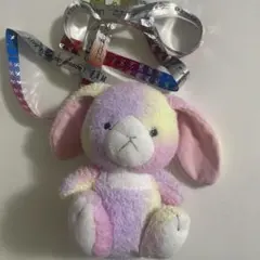 ダイソー うさぎのぬいぐるみ timelesz 篠塚大輝　タイプロ