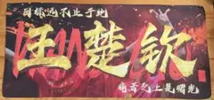 【N217】孫穎莎　王楚欽　タオル　応援　横断幕