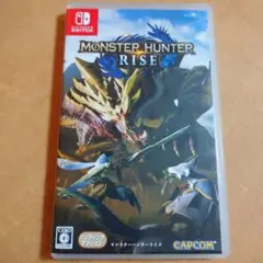 モンスターハンターライズ1時間使用しただけ