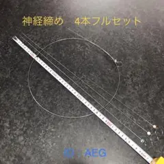 神経締め ★0.6 0.8 1.0 1.2mm 4本フルセット