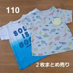 BIT'Z 動物柄 &F.O.KIDS 110cm 2枚セット