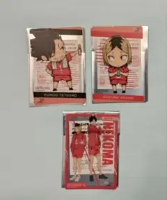 音駒　セイムス　ハイキュー　研磨　黒尾　トレーディングカード