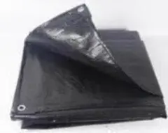 Item thumbnail for item 774dd8a9-da8d-446c-9473-75188ce2e8c3