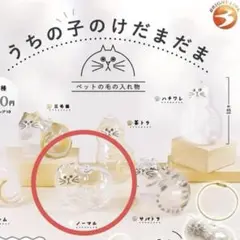 新品！うちのこのけだま風　キーホルダー　可愛い　おしゃれ　ノーマル