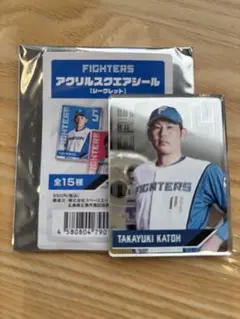 北海道日本ハムファイターズ　加藤貴之　アクリルスクエアシール