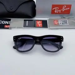 Ray-Ban Wayfarer Reverse サングラス R0502S