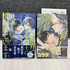 【BL】異世界で年下騎士に世話を焼かれています/つわもののお気に召すまま