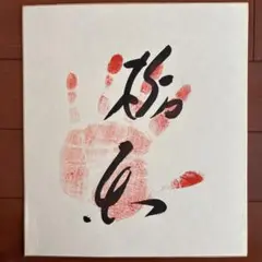 大相撲　元大関　栃東　サイン手形色紙