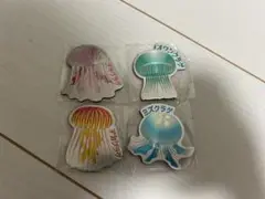 加茂水族館　クラゲ　マグネット